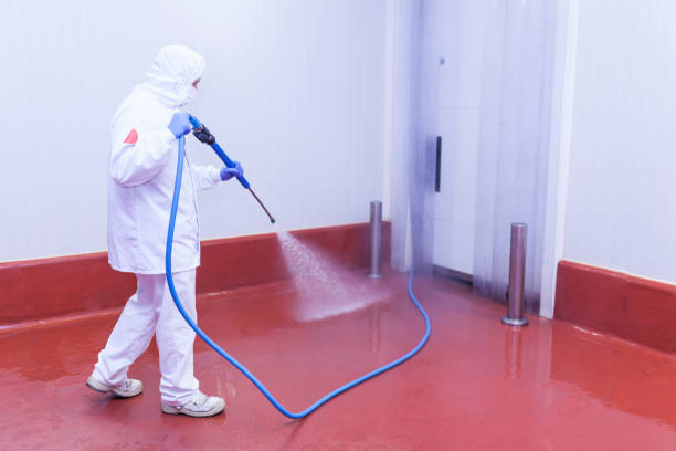 Best Boat and Dock Cleaning  in Belleair, FL